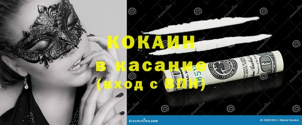 ПСИЛОЦИБИНОВЫЕ ГРИБЫ Аркадак