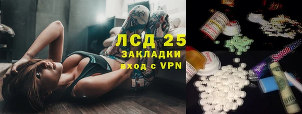 ПСИЛОЦИБИНОВЫЕ ГРИБЫ Аркадак