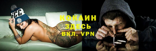 прущие грибы Арсеньев