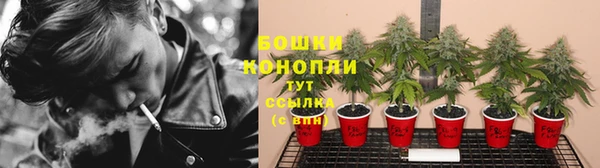 ПСИЛОЦИБИНОВЫЕ ГРИБЫ Аркадак