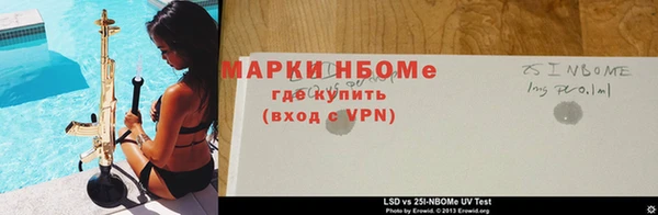 ПСИЛОЦИБИНОВЫЕ ГРИБЫ Аркадак