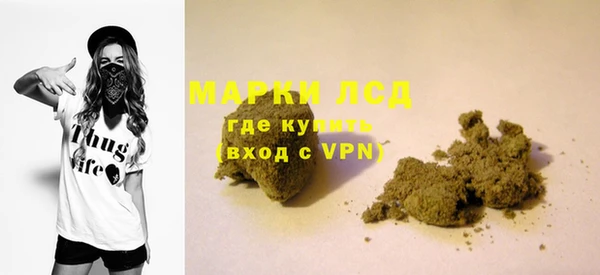 прущие грибы Арсеньев