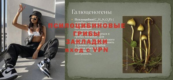 винт Армянск