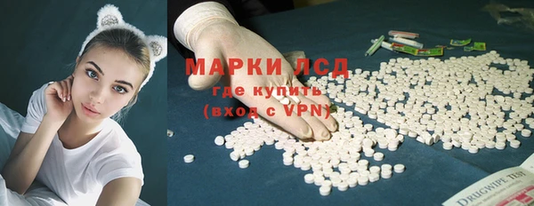 прущие грибы Арсеньев