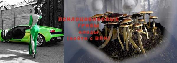 ПСИЛОЦИБИНОВЫЕ ГРИБЫ Аркадак