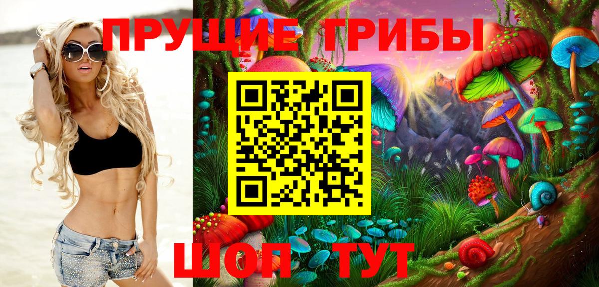 Псилоцибиновые грибы MAGIC MUSHROOMS  Вход с VPN  Выкса 