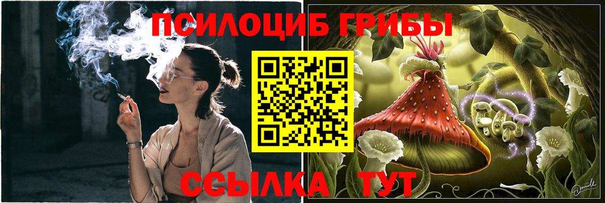 Псилоцибиновые грибы MAGIC MUSHROOMS Выкса